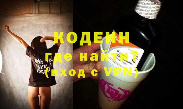 прущие грибы Новозыбков