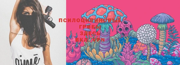 спайс Апатиты