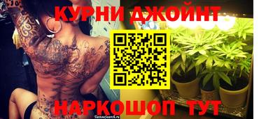 кокс Гатчина