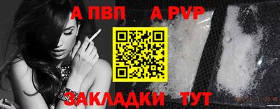 ешки Гай