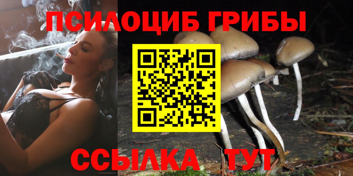 Галлюциногенные грибы прущие грибы Ялта