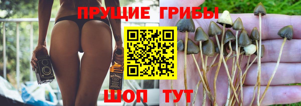 Псилоцибиновые грибы ЛСД  Ялта 